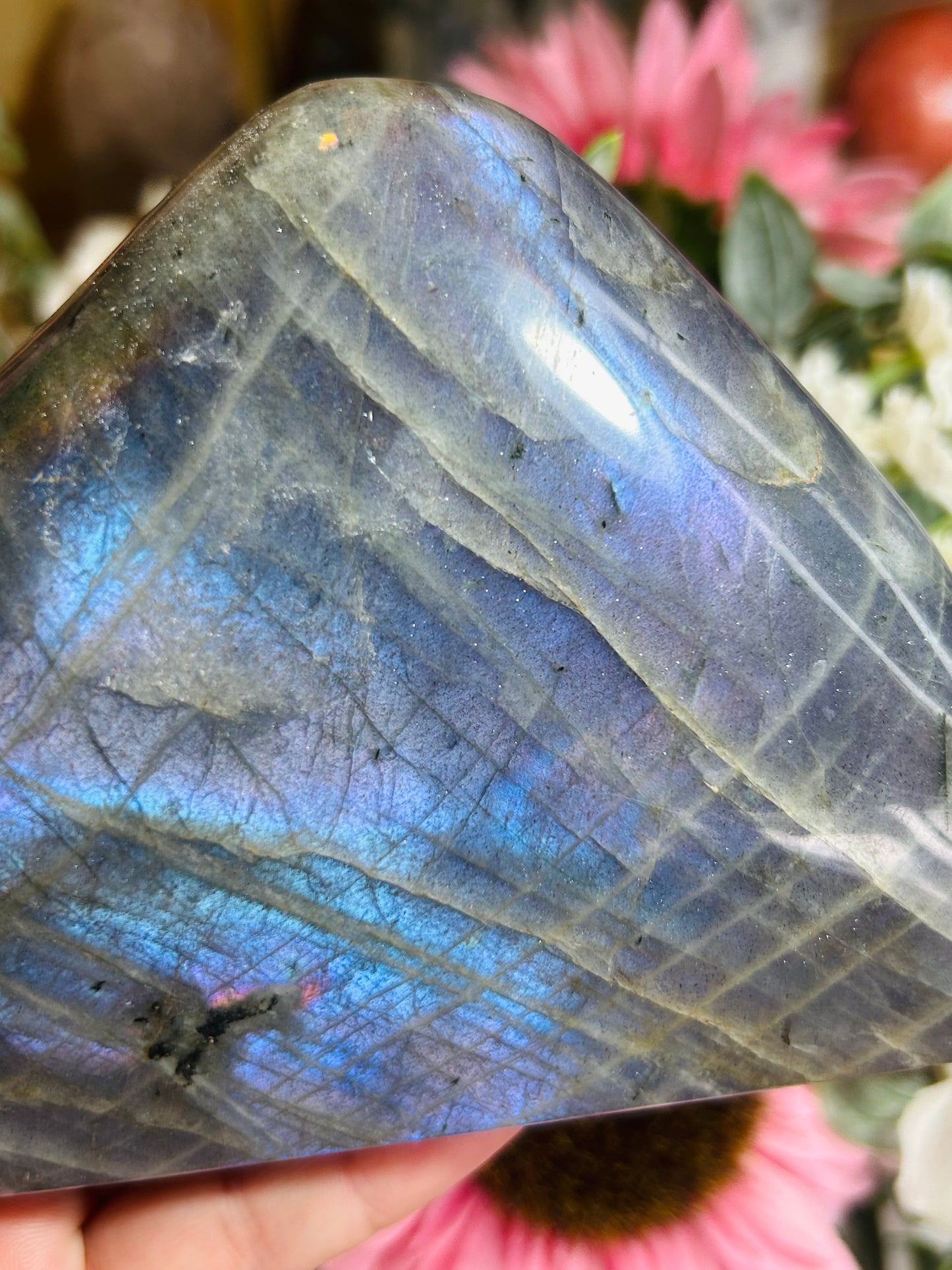 Blue/purple flash labradorite Freeform