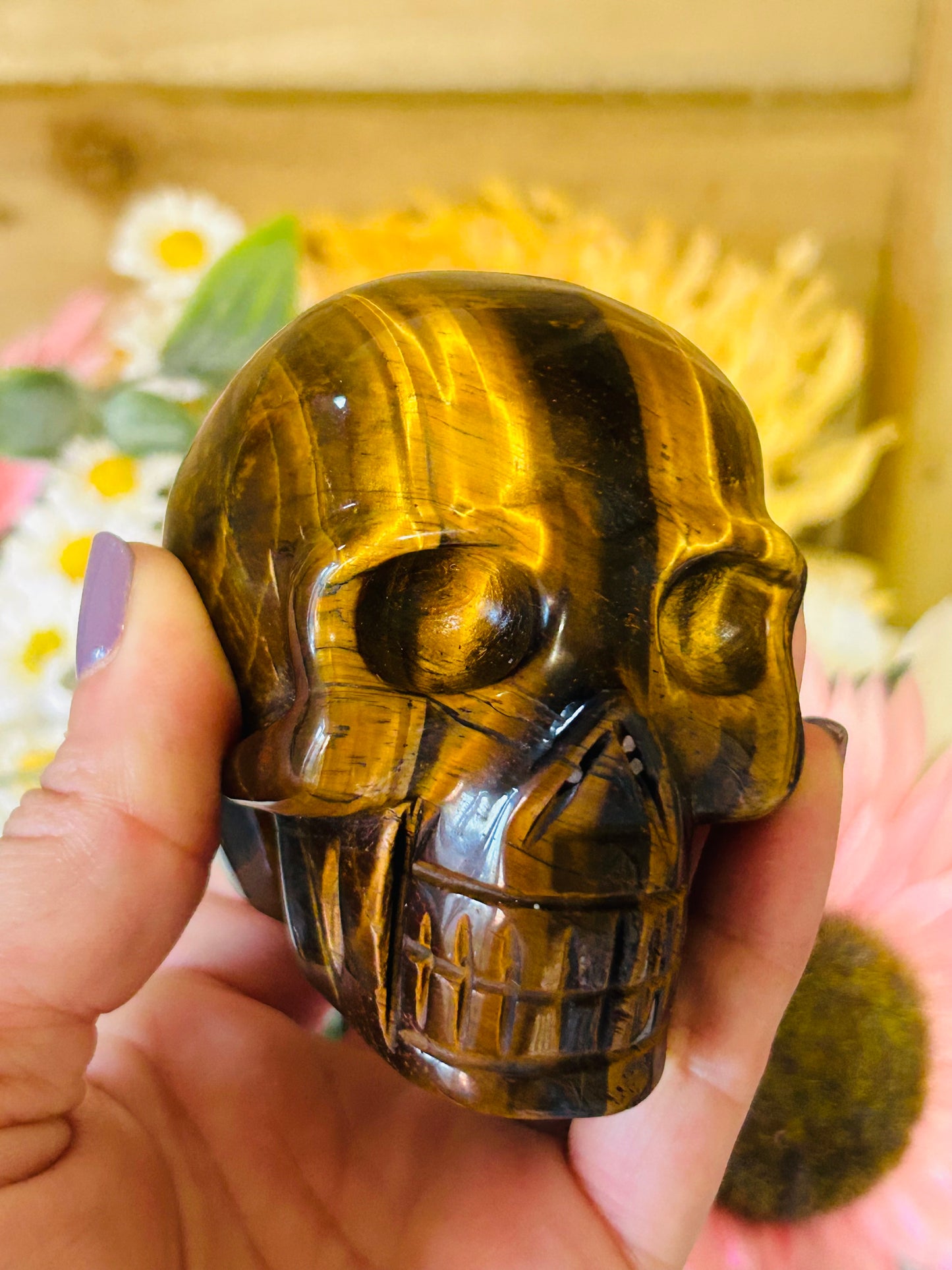 Tigers eye skull