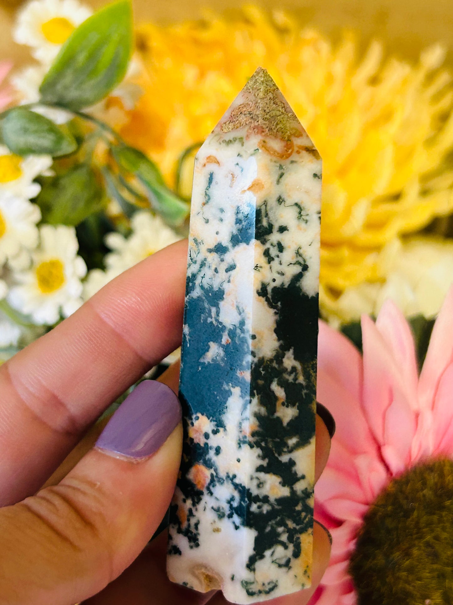 Chocolate calcite Frenchie