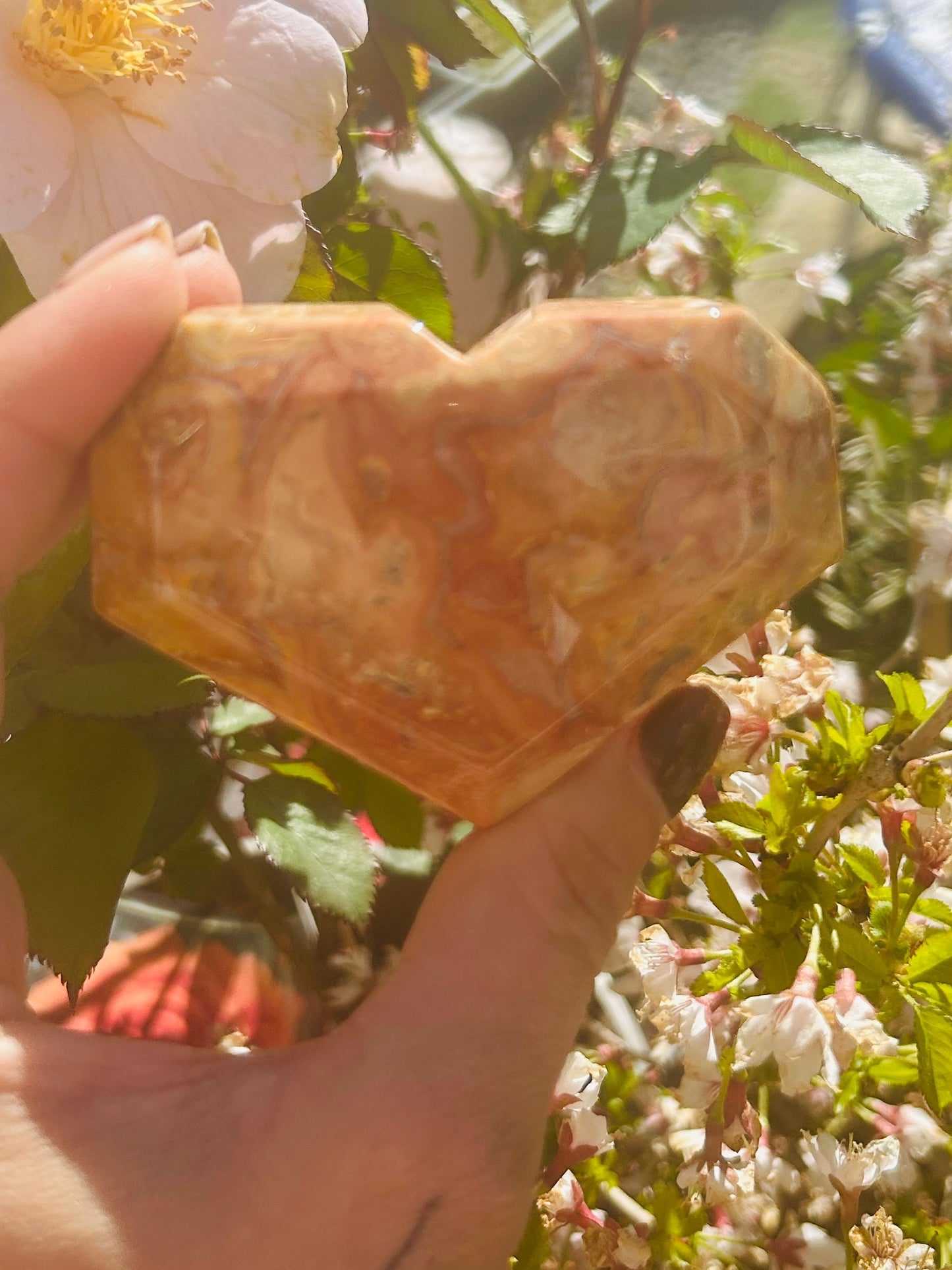 Crazy lace agate freestanding heart