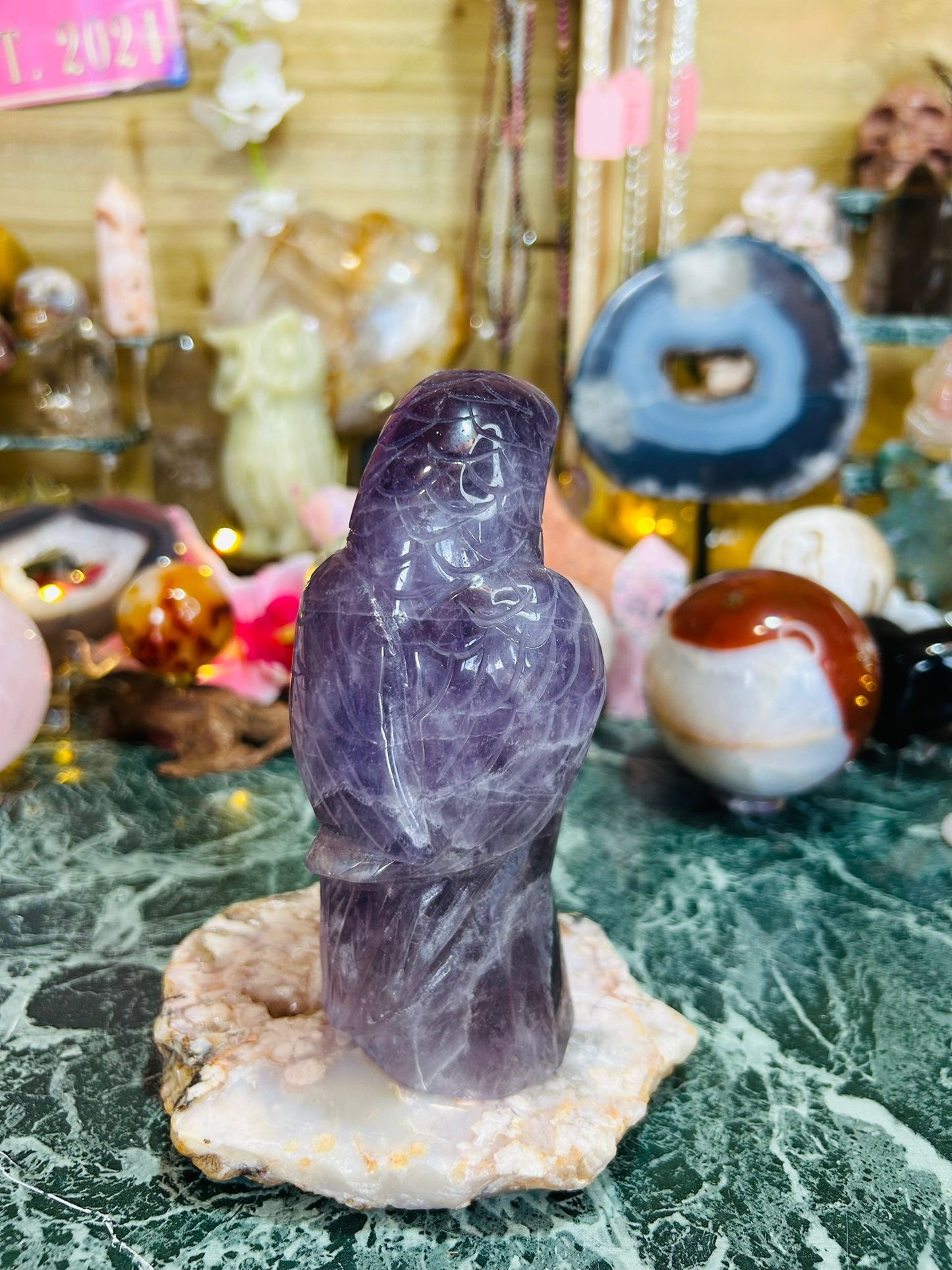 Amethyst parrot