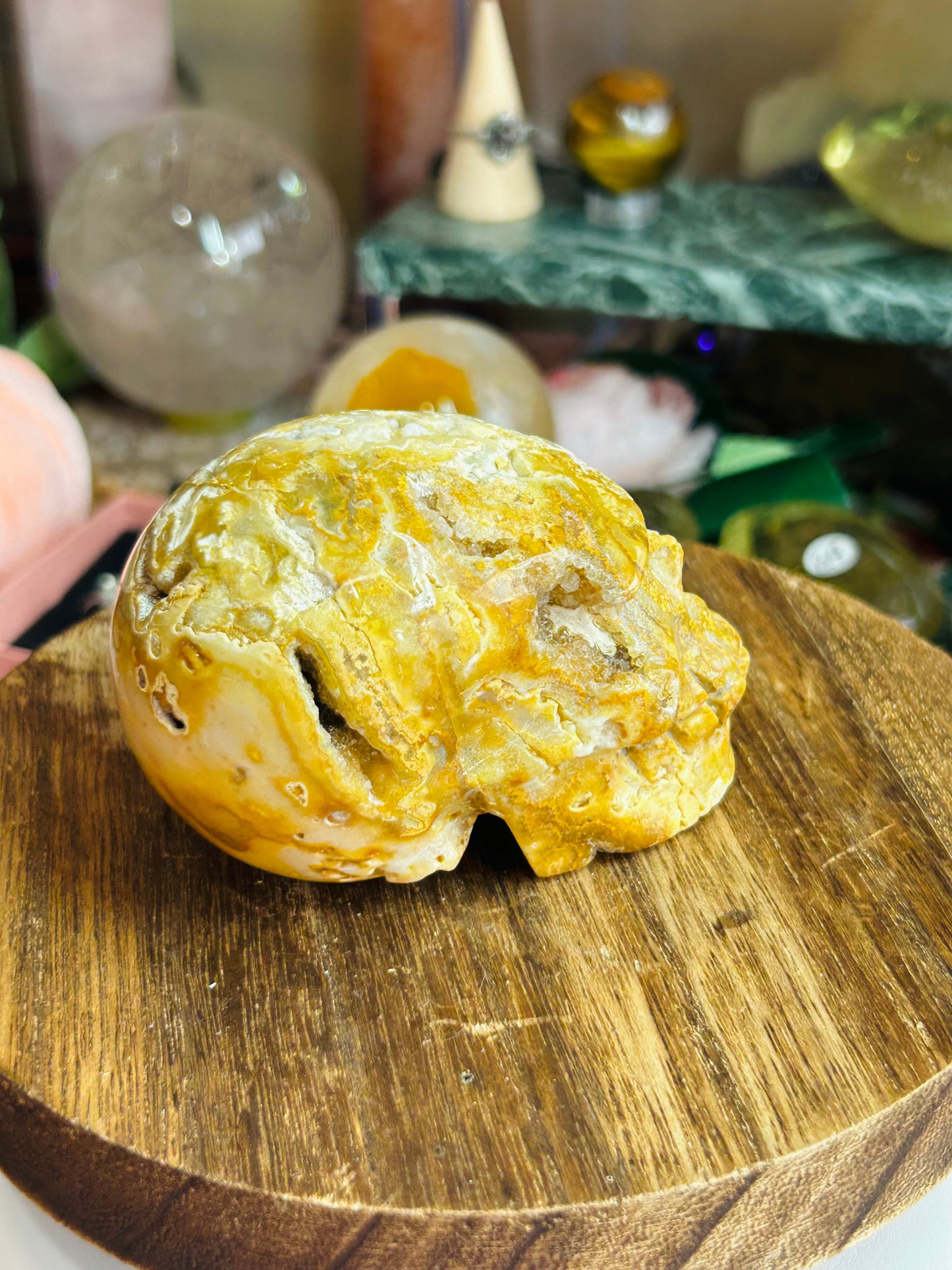 Crazy lace agate skull