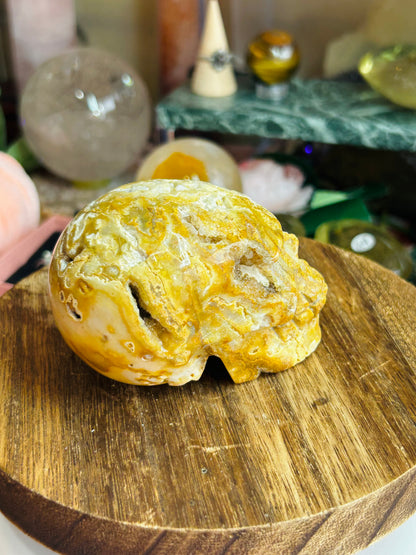 Crazy lace agate skull