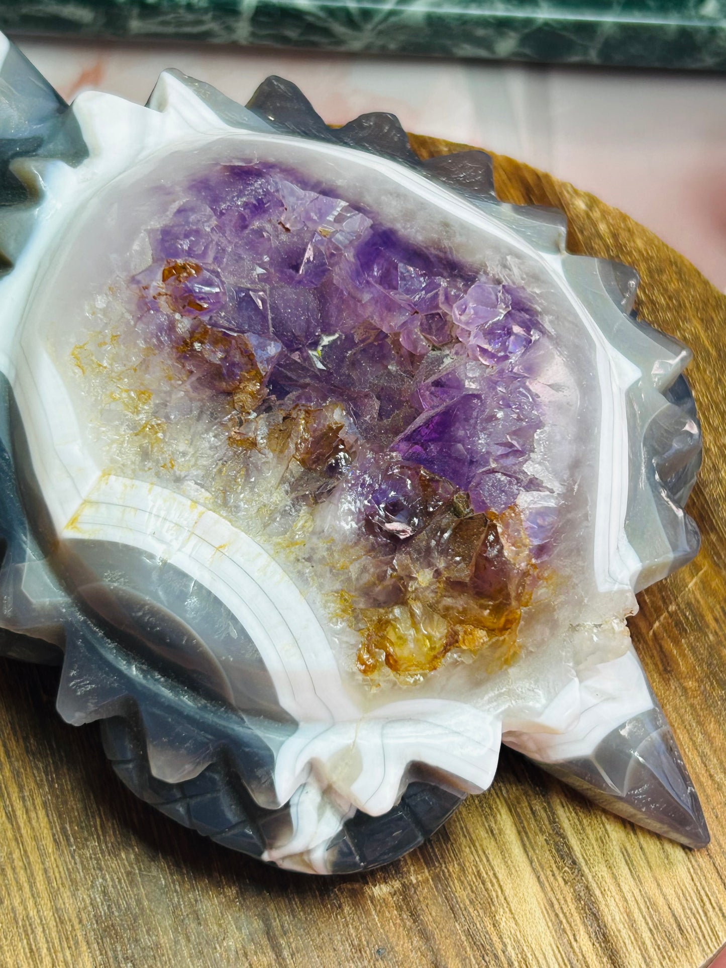 Amethyst agate turtle