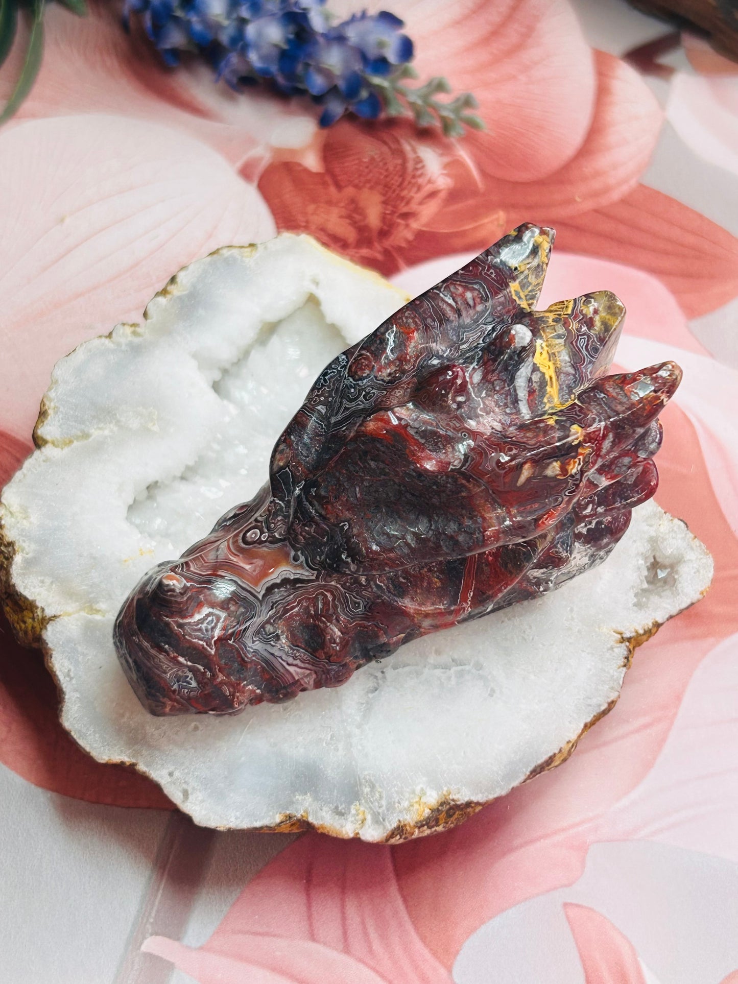 Mexican lace agate dragon head