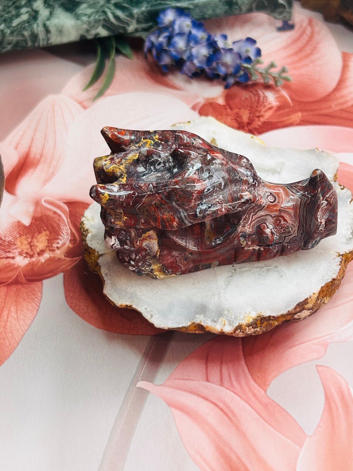 Mexican lace agate dragon head