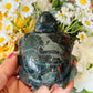 African bloodstone turtle