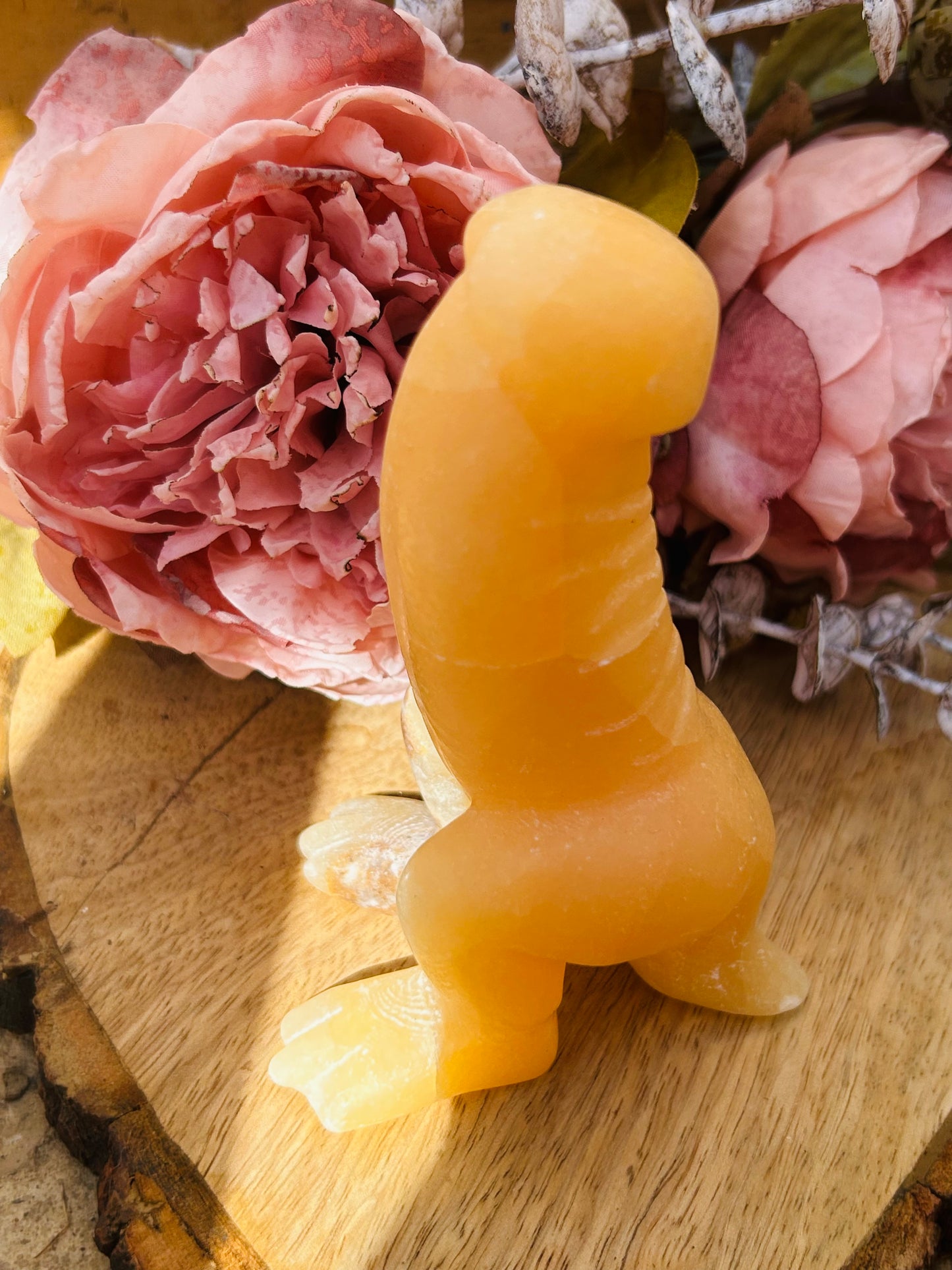 Orange calcite penisaurus Rex!