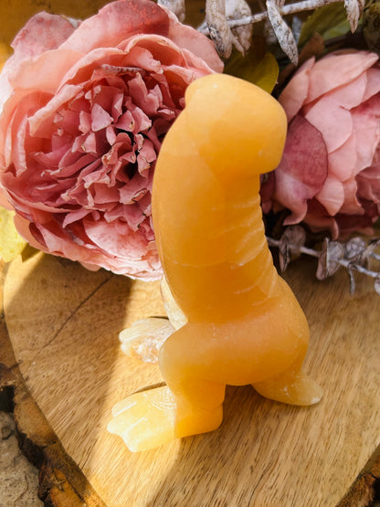 Orange calcite penisaurus Rex!