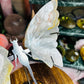 Pink amethyst wings