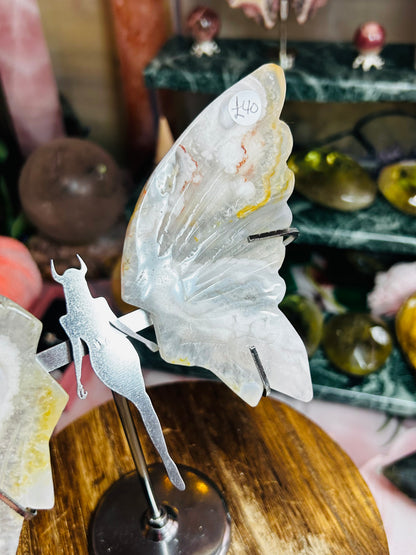 Pink amethyst wings