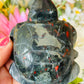 African bloodstone turtle