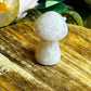 Agate mushroom