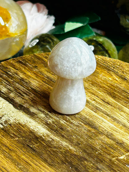 Agate mushroom