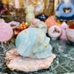 Caribbean calcite skull