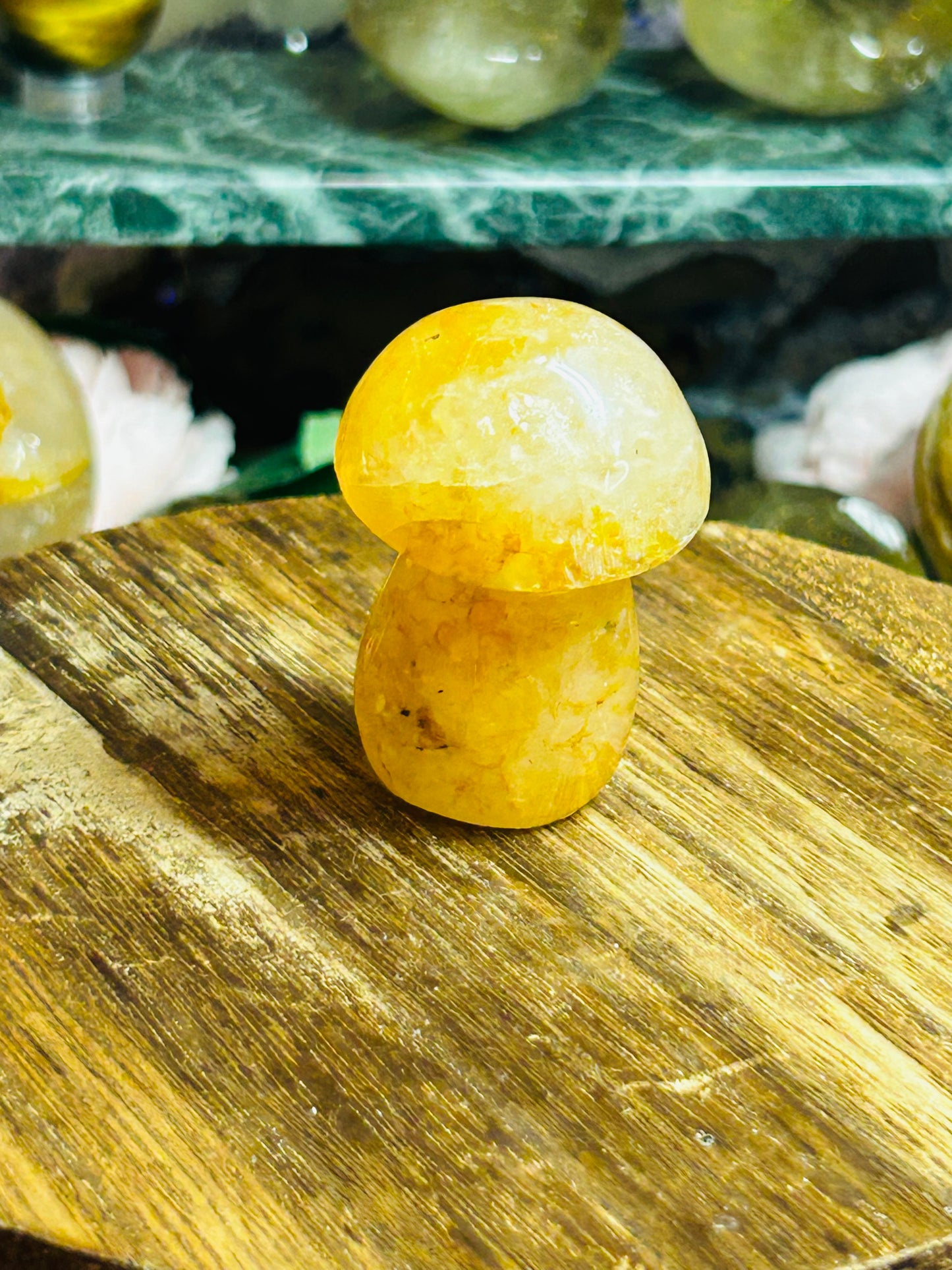 Golden healer mushroom