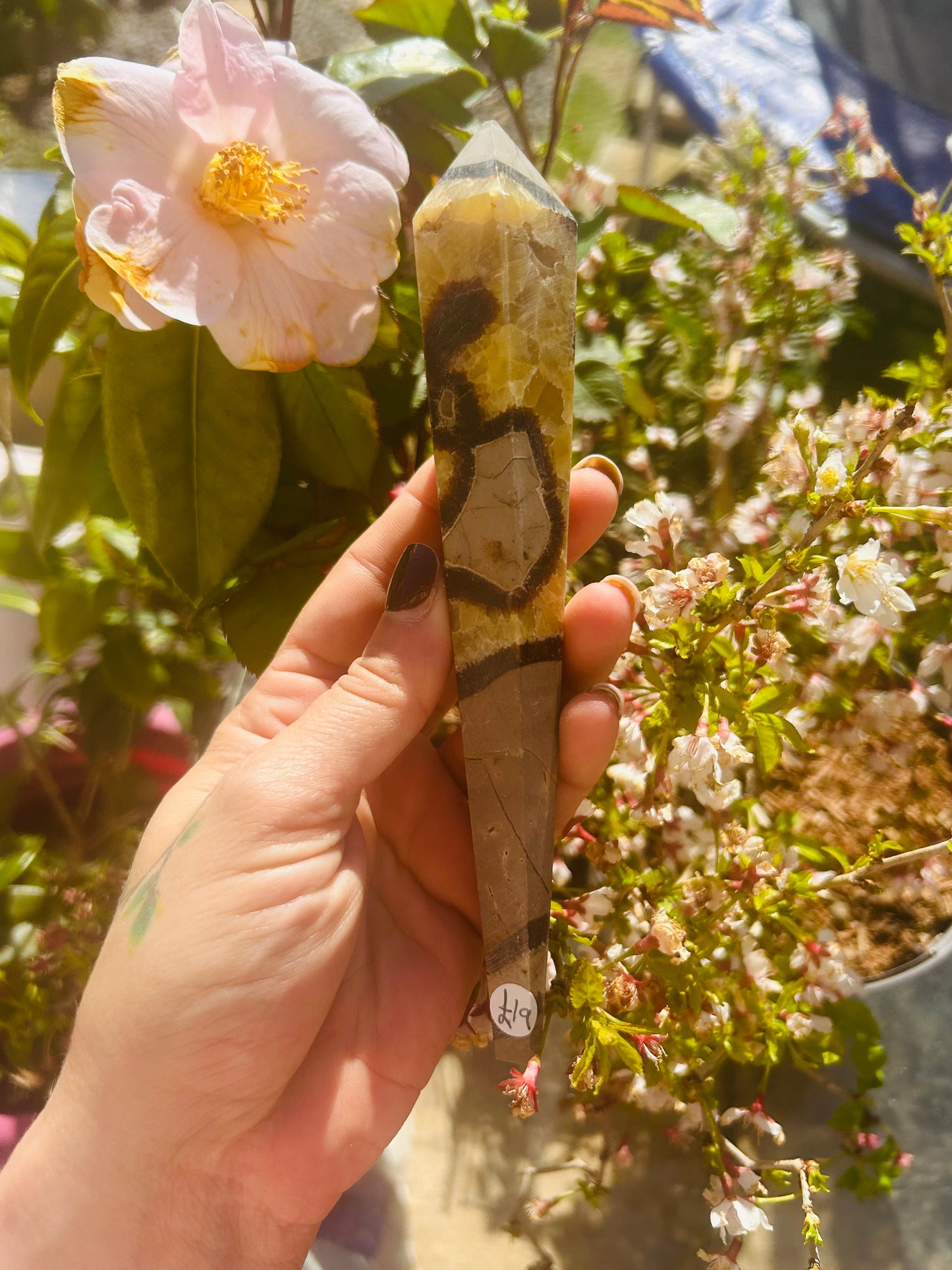 Septarian wand