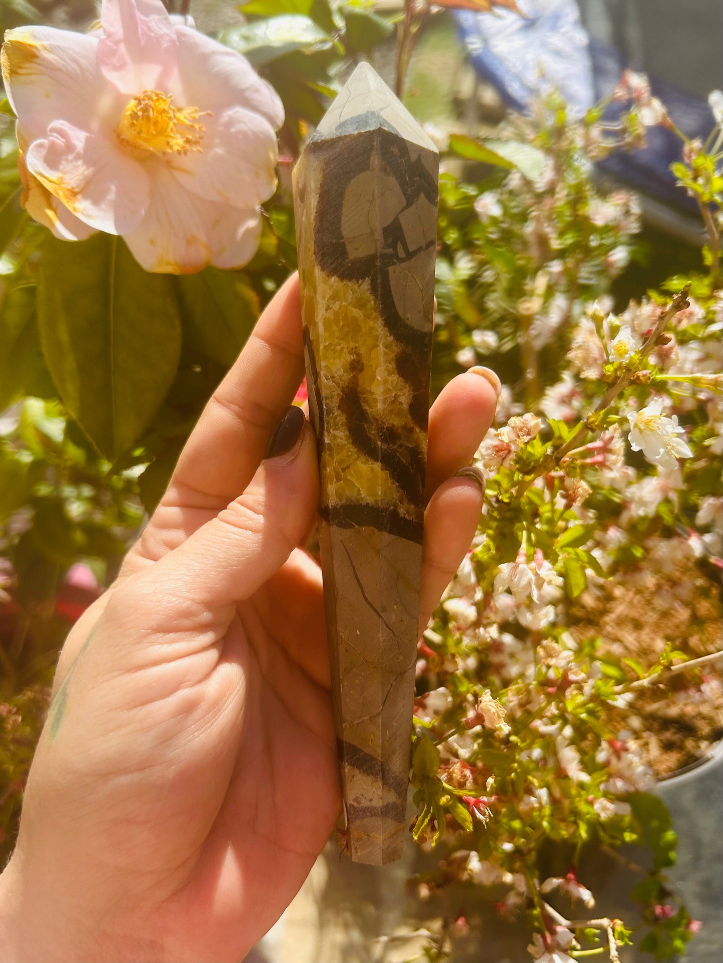 Septarian wand