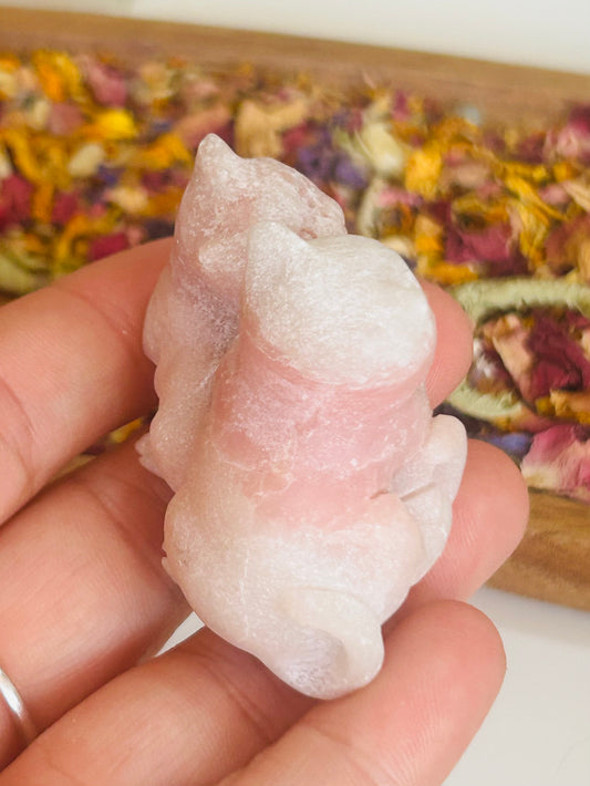 Pink opal double cat