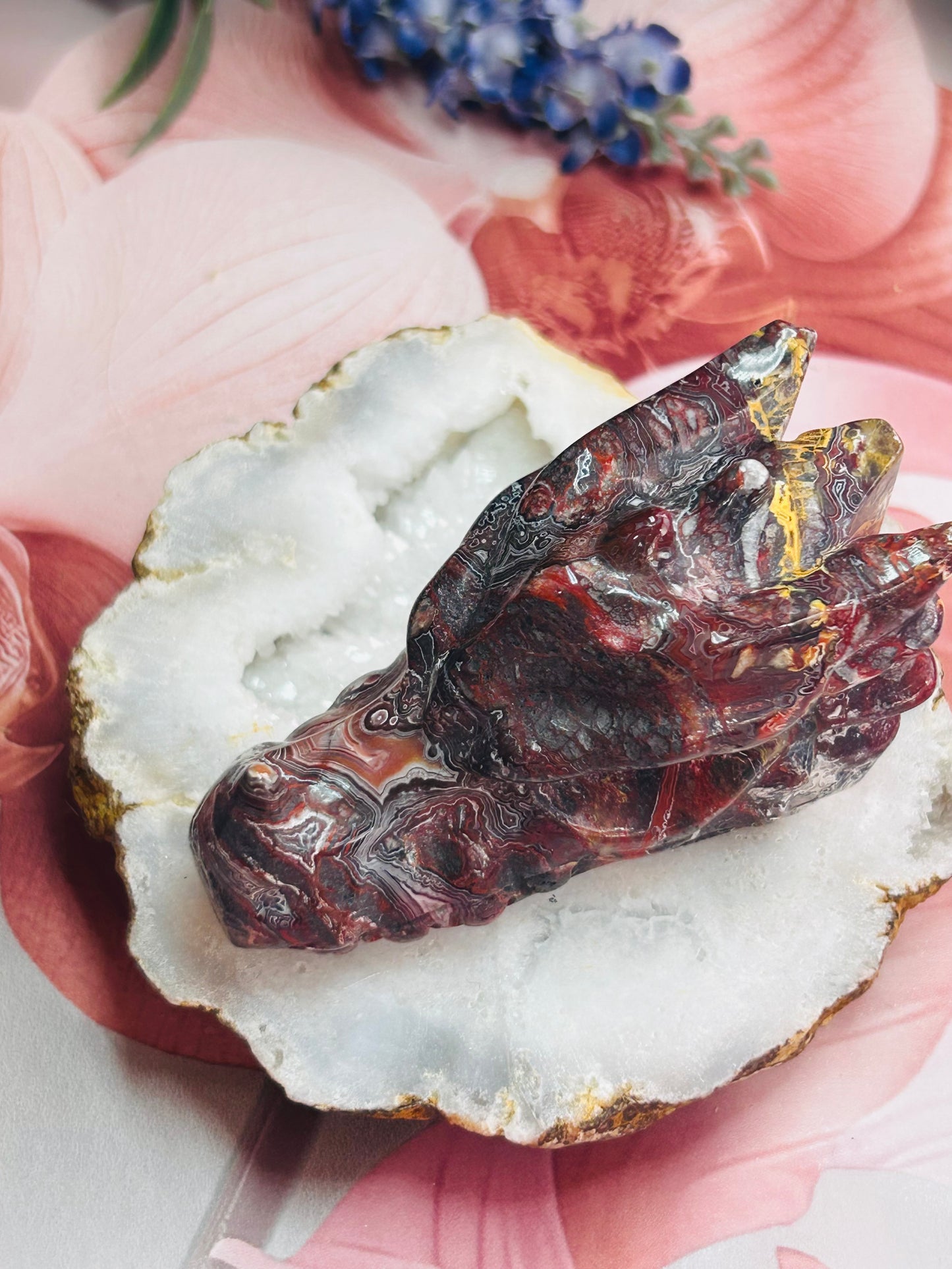 Mexican lace agate dragon head