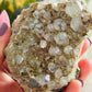 Epidote with quartz