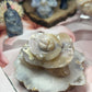 Flower agate flower