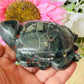 African bloodstone turtle