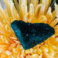 Dioptase