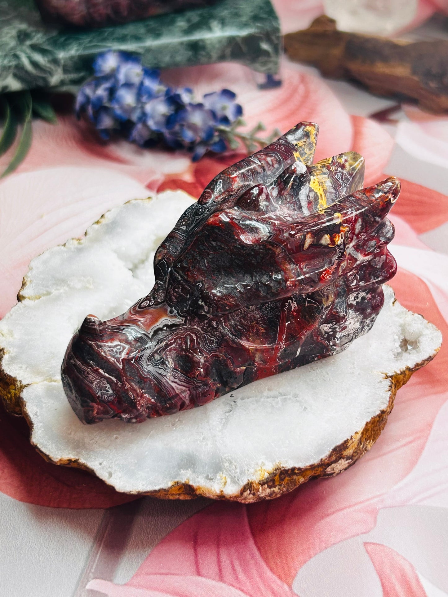 Mexican lace agate dragon head