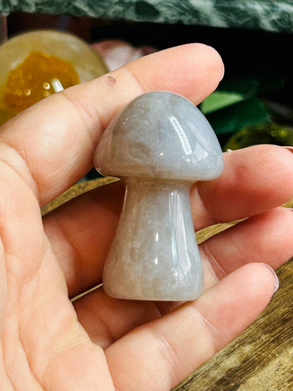Agate mushroom