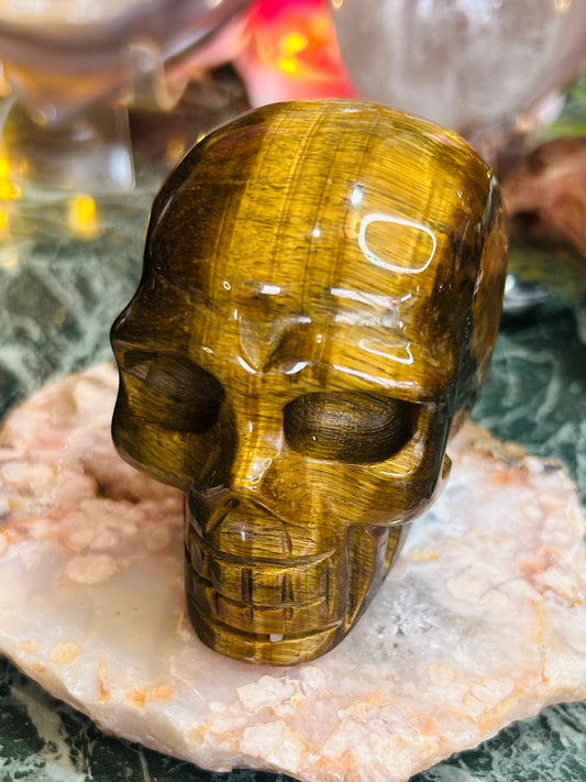 Tigers eye skull