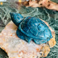 Apatite turtle - small chip