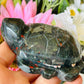 African bloodstone turtle