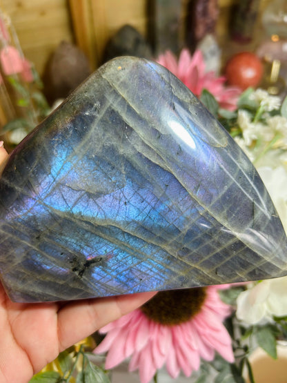 Blue/purple flash labradorite Freeform