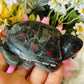 African bloodstone turtle