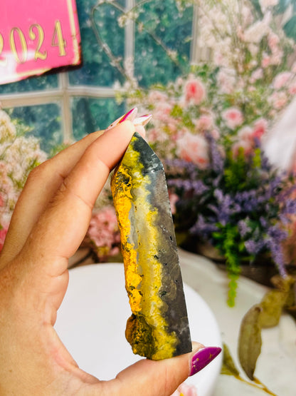Bumblebee jasper