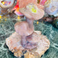 Cherry blossom mushrooms