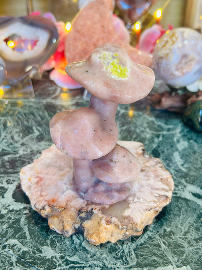 Cherry blossom mushrooms