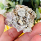 Purple creedite