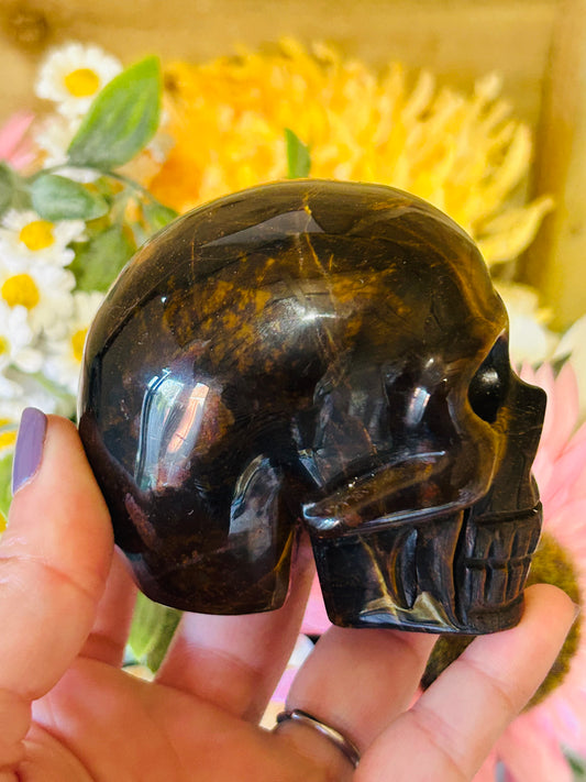 Tigers eye skull