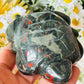 African bloodstone turtle
