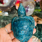 Apatite turtle - small chip