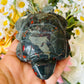 African bloodstone turtle