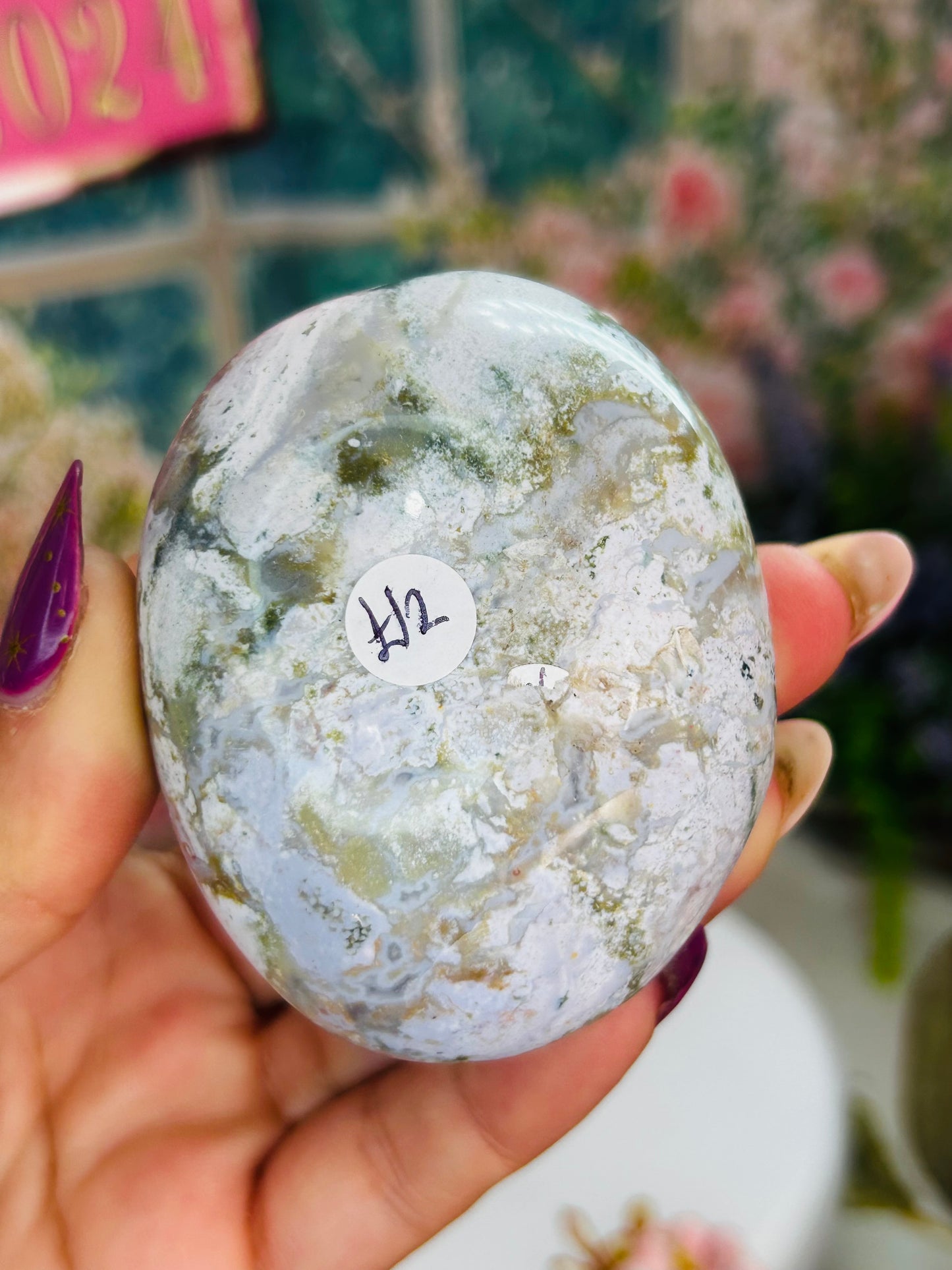 Ocean jasper palm