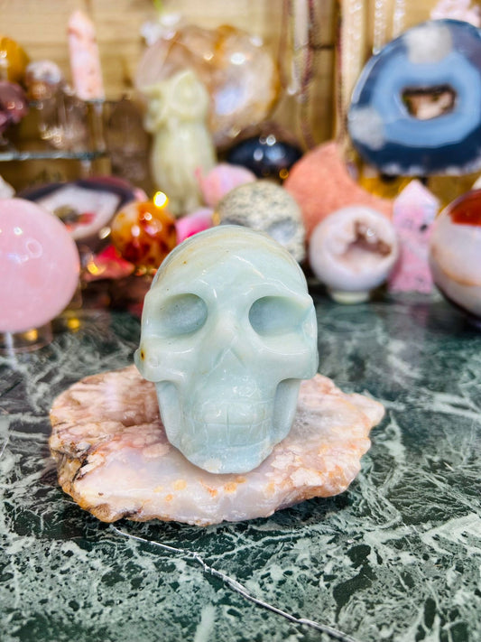Caribbean calcite skull
