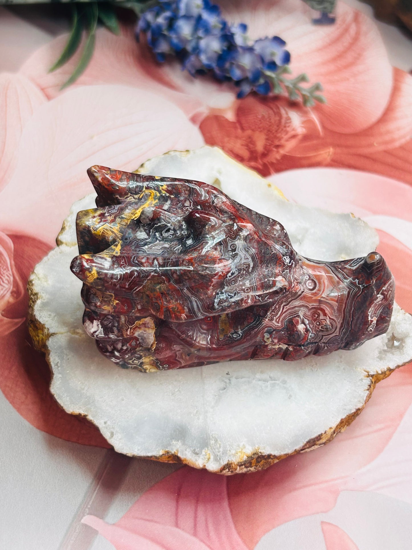Mexican lace agate dragon head