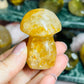 Golden healer mushroom