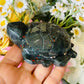 African bloodstone turtle
