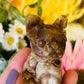 Chocolate calcite Frenchie