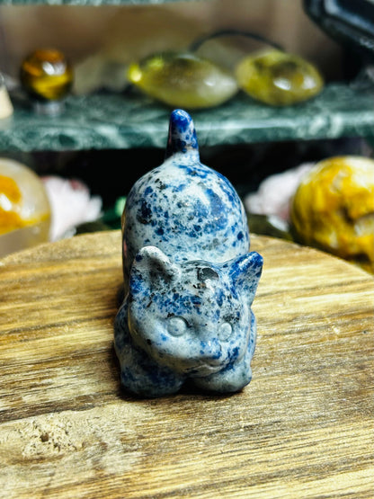 Sodalite cat